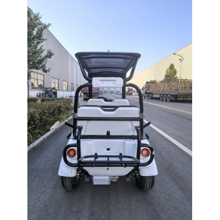 Гольфкар GreenCamel Сонора A40 New (4 seats 2500W 225/40-10' литые)
