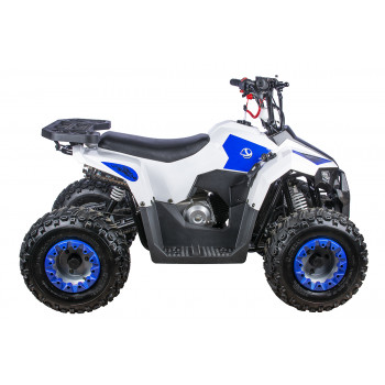 Комплект запчастей ATV YACOTA RAPOSA 110