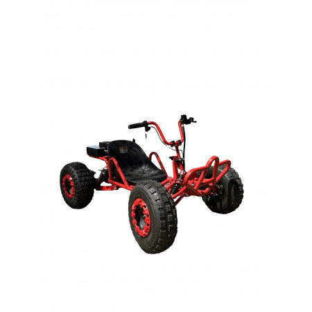 Skyboard ElectroKarting Krasnodar 1000W