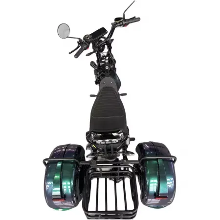 Электроскутер Skyboard MyRussia 3000W + LiFePo4 (с подогревом)