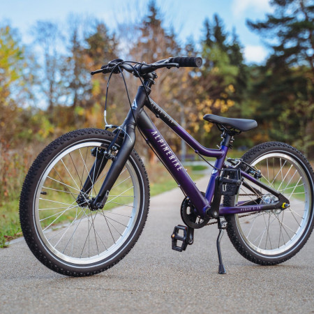 Велосипед детский Alpinebike Pegas 3-20 фиолетовый космос