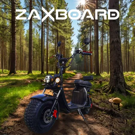 Электроскутер ZAXBOARD CityCoco M10 AQUA TEM-245 (20AH)