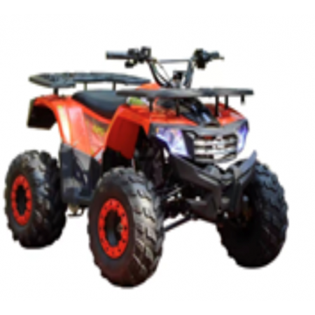 Бензиновый квадроцикл WELS Thunder AX125 PRO