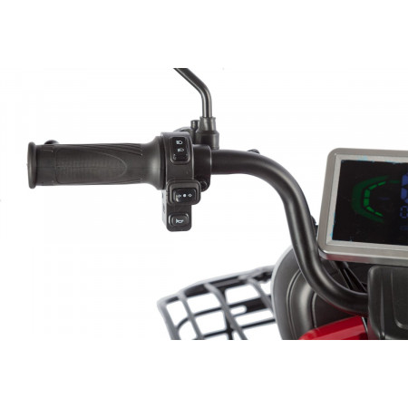 Электротрицикл Rutrike Gelbert Kappa 48V/60V 650Вт, 0000268