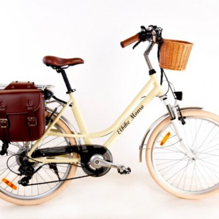 Электровелосипед Elbike Monro