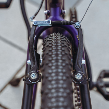 Велосипед детский Alpinebike Pegas 3-20 фиолетовый космос