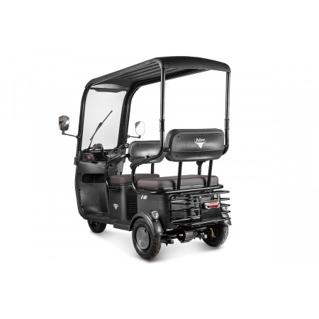Электротрицикл Rutrike Gelbert Bos 48V/60V 800Вт, 0000274