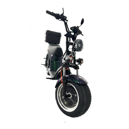Электроскутер Skyboard Ural 2WD + LiFePo4 (с подогревом)