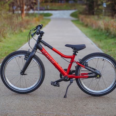 Велосипед детский Alpinebike Pegas 3-20 рассветный оранжевый
