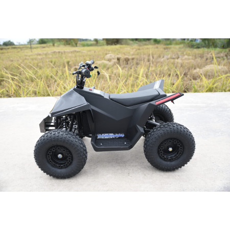 Skyboard CyberTruck Sochi Power 1000W