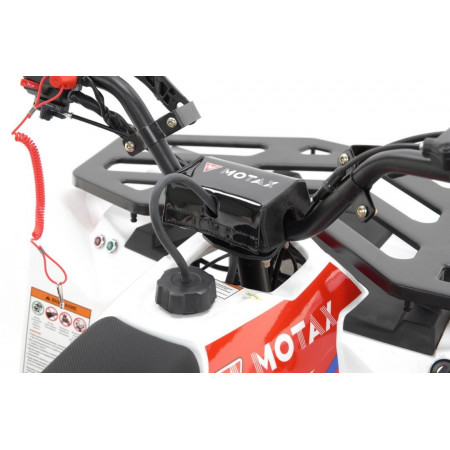 Бензиновый квадроцикл MOTAX GRIZLIK A125