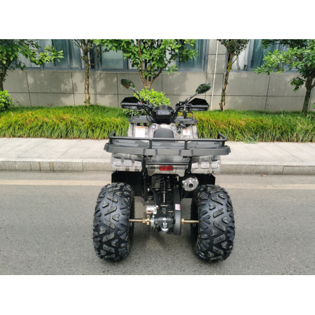 Бензиновый квадроцикл MOTAX GRIZLIK T 200 LUX