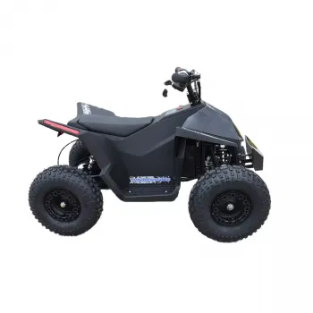 Skyboard CyberTruck Sochi Power 1000W