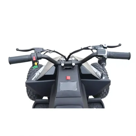 Skyboard CyberTruck Sochi Kids 800W