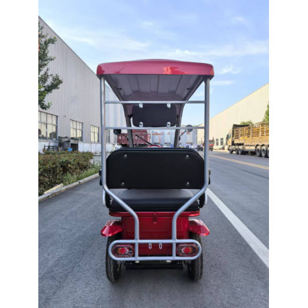 Гольфкар GreenCamel Сонора A3 ECO (3 seats 1000W R8)
