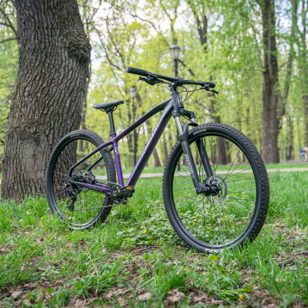 Велосипед горный Alpinebike Terra 9 фиолетовый космос