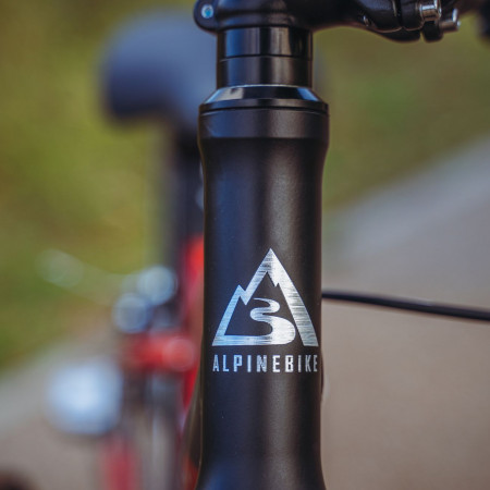 Велосипед детский Alpinebike Pegas 3-20 рассветный оранжевый