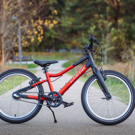 Велосипед детский Alpinebike Pegas 3-20 рассветный оранжевый