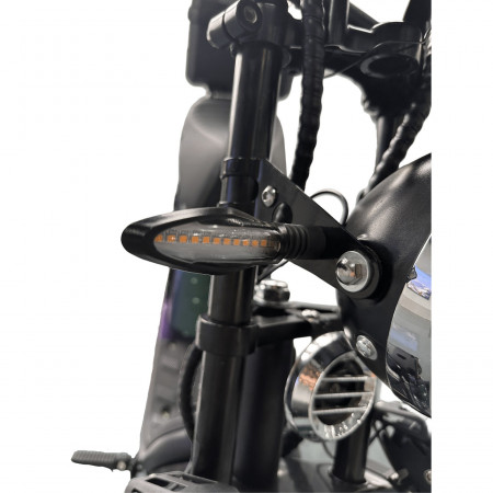 Электроскутер Skyboard Ural 2WD + LiFePo4 (с подогревом)