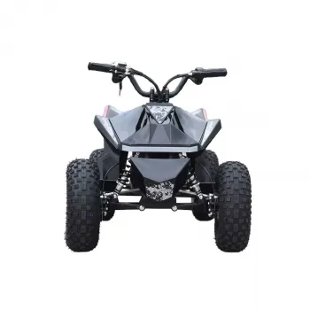 Skyboard CyberTruck Sochi Power 1000W