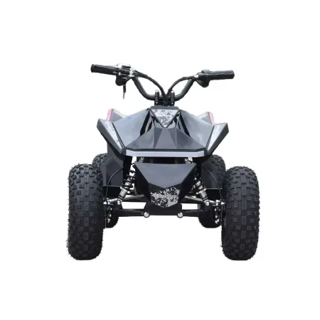 Skyboard CyberTruck Sochi Power 1000W