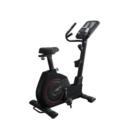 Велотренажер профессиональный UltraGym UG-B001