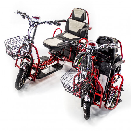 Электротрицикл Elbike Адъютант А4