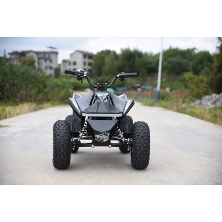 Skyboard CyberTruck Sochi Kids 800W