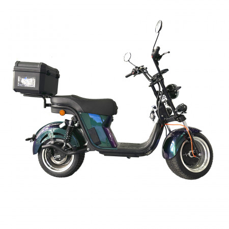 Электроскутер Skyboard Ural 2WD + LiFePo4 (с подогревом)
