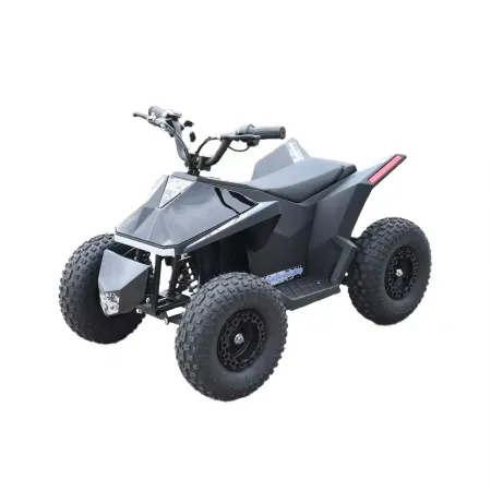 Skyboard CyberTruck Sochi Kids 800W