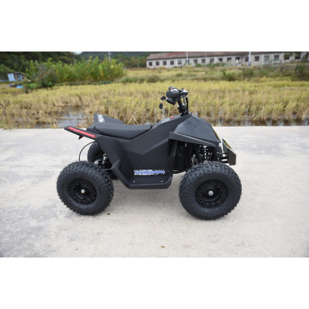 Skyboard CyberTruck Sochi Power 1000W