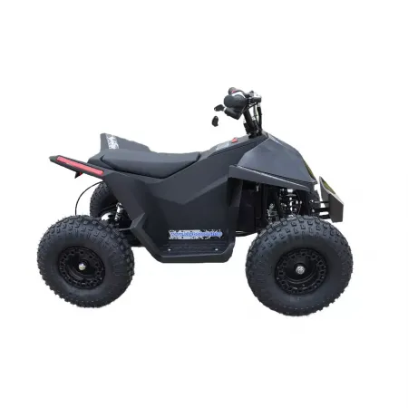 Skyboard CyberTruck Sochi Kids 800W