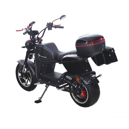 Электроскутер Skyboard FAR EAST 5000W
