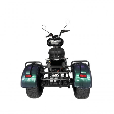Электроскутер Skyboard MyRussia 3000W + LiFePo4 (с подогревом)