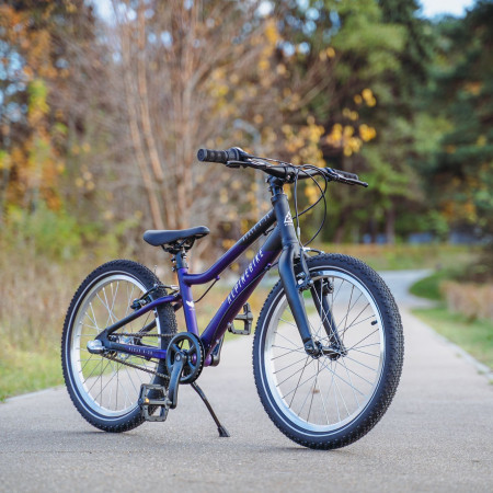 Велосипед детский Alpinebike Pegas 3-20 фиолетовый космос