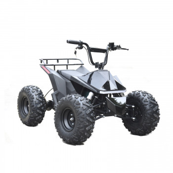 Skyboard CyberTruck Karelia 1800W