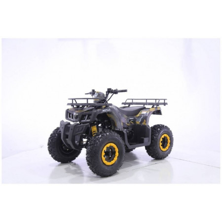Бензиновый квадроцикл MOTAX GRIZLIK T 200