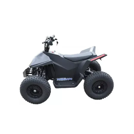 Skyboard CyberTruck Sochi Kids 800W