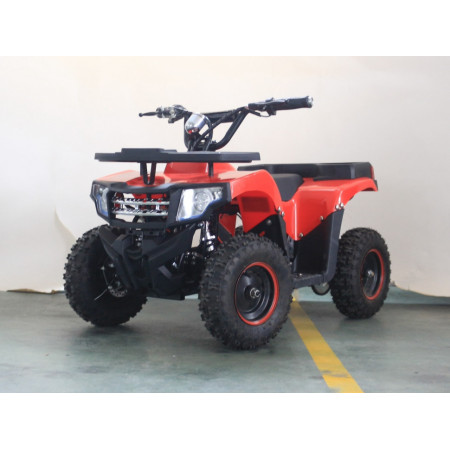 Электроквадроцикл GreenCamel Гоби К24 (36V 800W R6 Цепь)