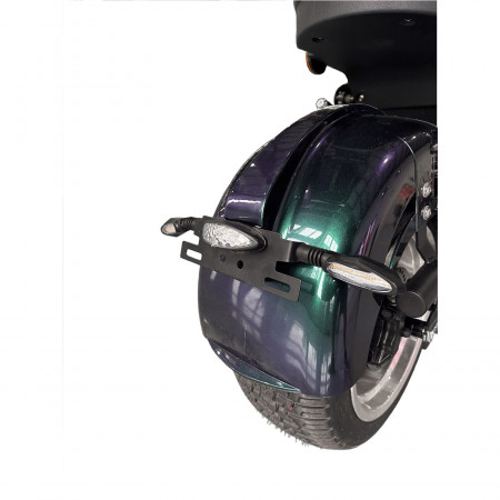 Электроскутер Skyboard Ural 2WD + LiFePo4 (с подогревом)