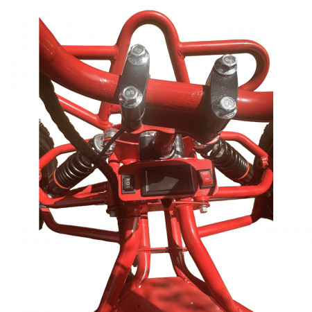 Skyboard ElectroKarting Krasnodar 1000W