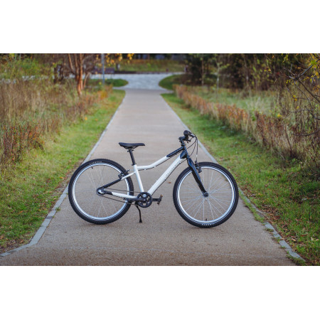 Велосипед подростковый Alpinebike Pegas 3-24 белый мрамор