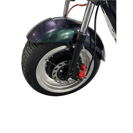 Электроскутер Skyboard Ural 2WD + LiFePo4 (с подогревом)