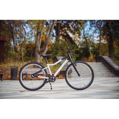 Велосипед подростковый Alpinebike Pegas 3-24 белый мрамор