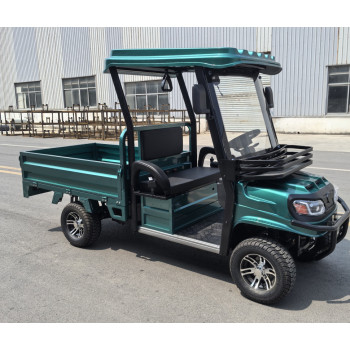 Гольфкар GreenCamel Сонора A2C 1500 (2+Cargo 1800W R10) пониженная