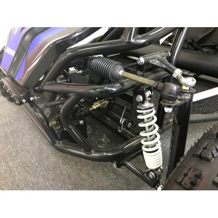 Багги SCANMOTO RAPID II