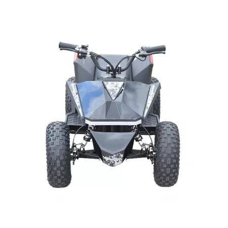 Skyboard CyberTruck Sochi Kids 800W