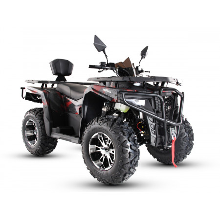 Квадроцикл Motax Grizlik 300 cc