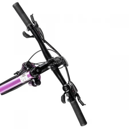 Велосипед 24' ACID Q 450 D Rose Quartz/Deep Purple 2026