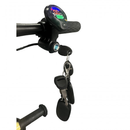 Электроскутер Skyboard Piter 500W